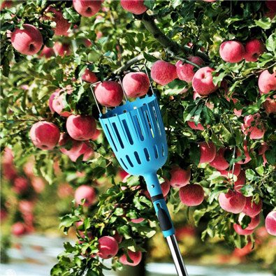 product-395-395 Apple fruit picker pole with basket