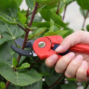 anvil pruner anvil pruner