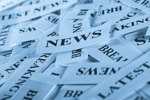 Quais são as ferramentas de jardinagem doméstica?