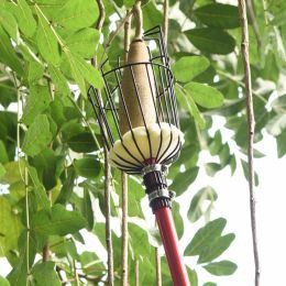 O que devo prestar atenção ao colher maçãs?