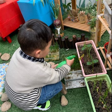 Como cultivar diversão para jardinagem infantil