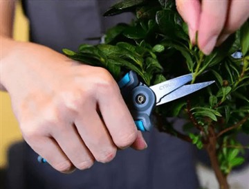 Por que lançamos a nova e maior tesoura