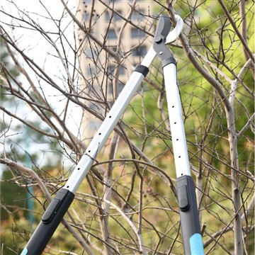 Poda e corte: cuidando da minha família