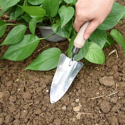 Diário de plantio de jardim -1