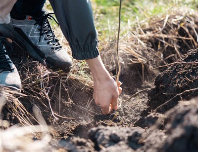 Passos divertidos para cavar raízes