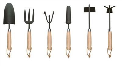 Plantando tomates em casa