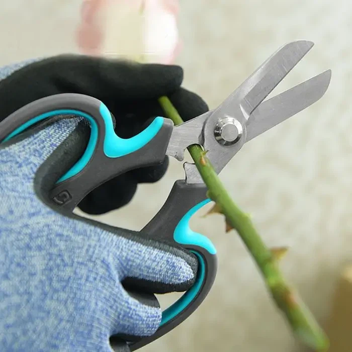 Tesouras de poda e rosas serão uma combinação perfeita