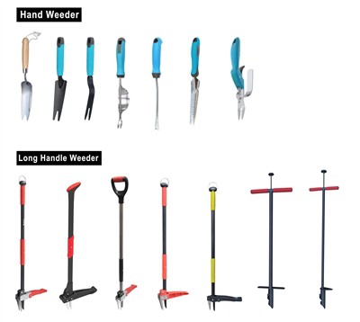 Cultivando o Verde: Abraçando a Sustentabilidade em Seu Jardim