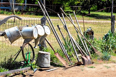 Quais são os elementos básicos do paisagismo e as ferramentas essenciais para...