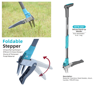 Celebrando o Festival do Meio do Outono ao redor do mundo: uma harmonia de tr...