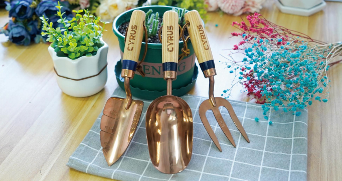 info-682-361 info-682-361