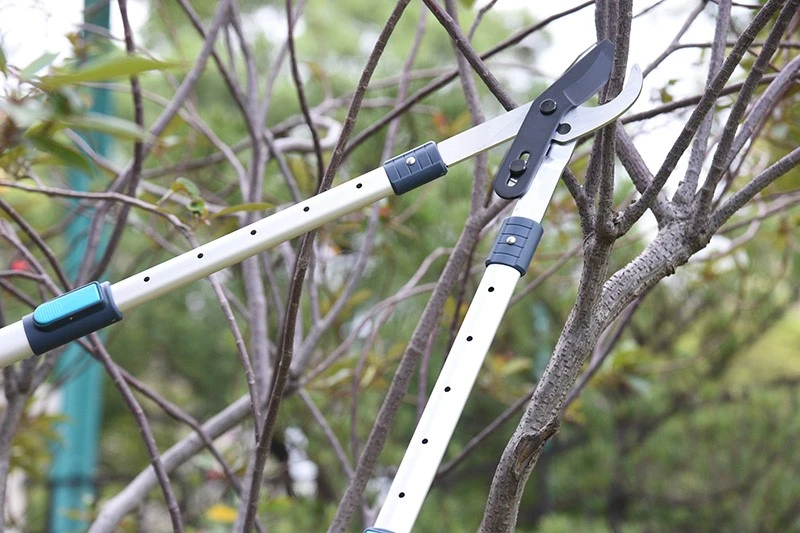 Lopping Branch Lopping Branch