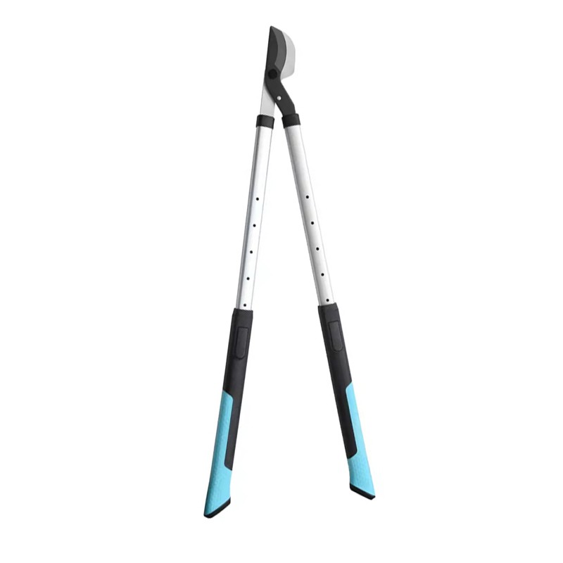 LOPPERS LONGENDIDADOS