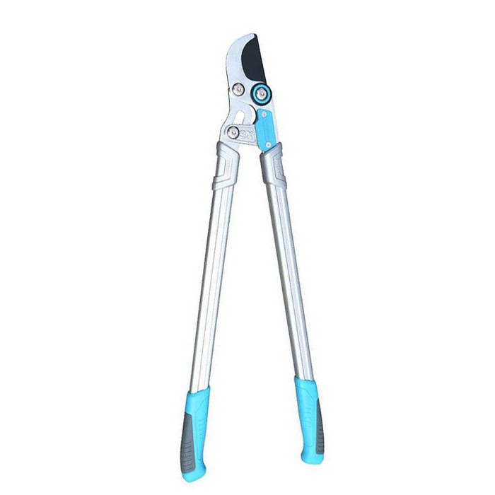 A poda de poda tesouras