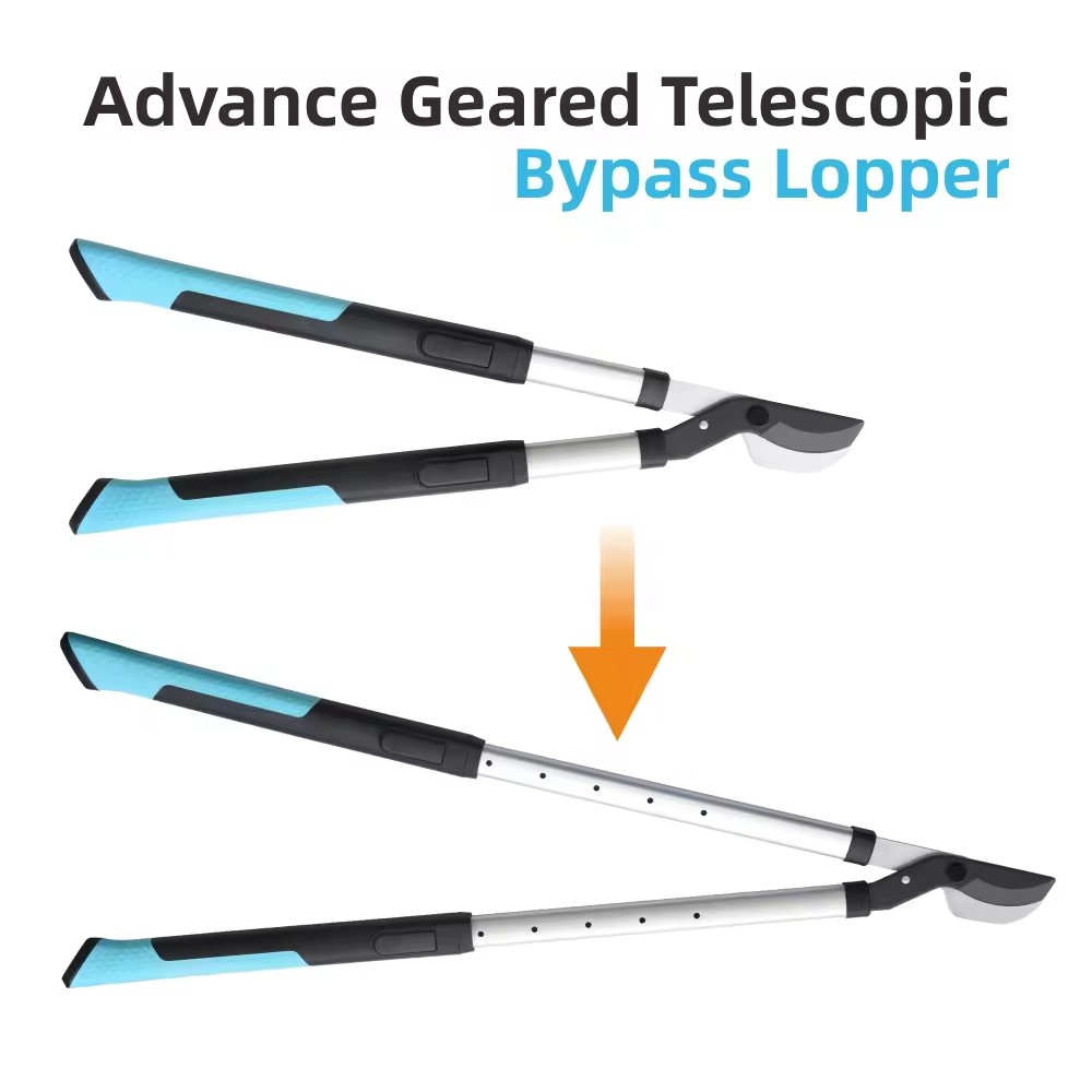 product-1000-1000 product-1000-1000