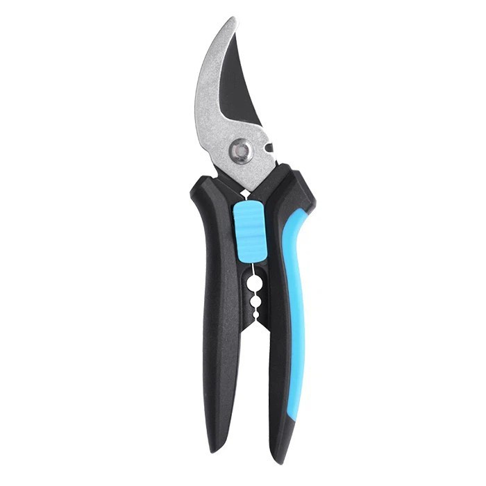 Prunners profissionais de rosas